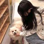 天剑乱舞破解版下载